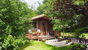 Una cabana de fusta amb un porxo, envoltada de vegetació abundant.