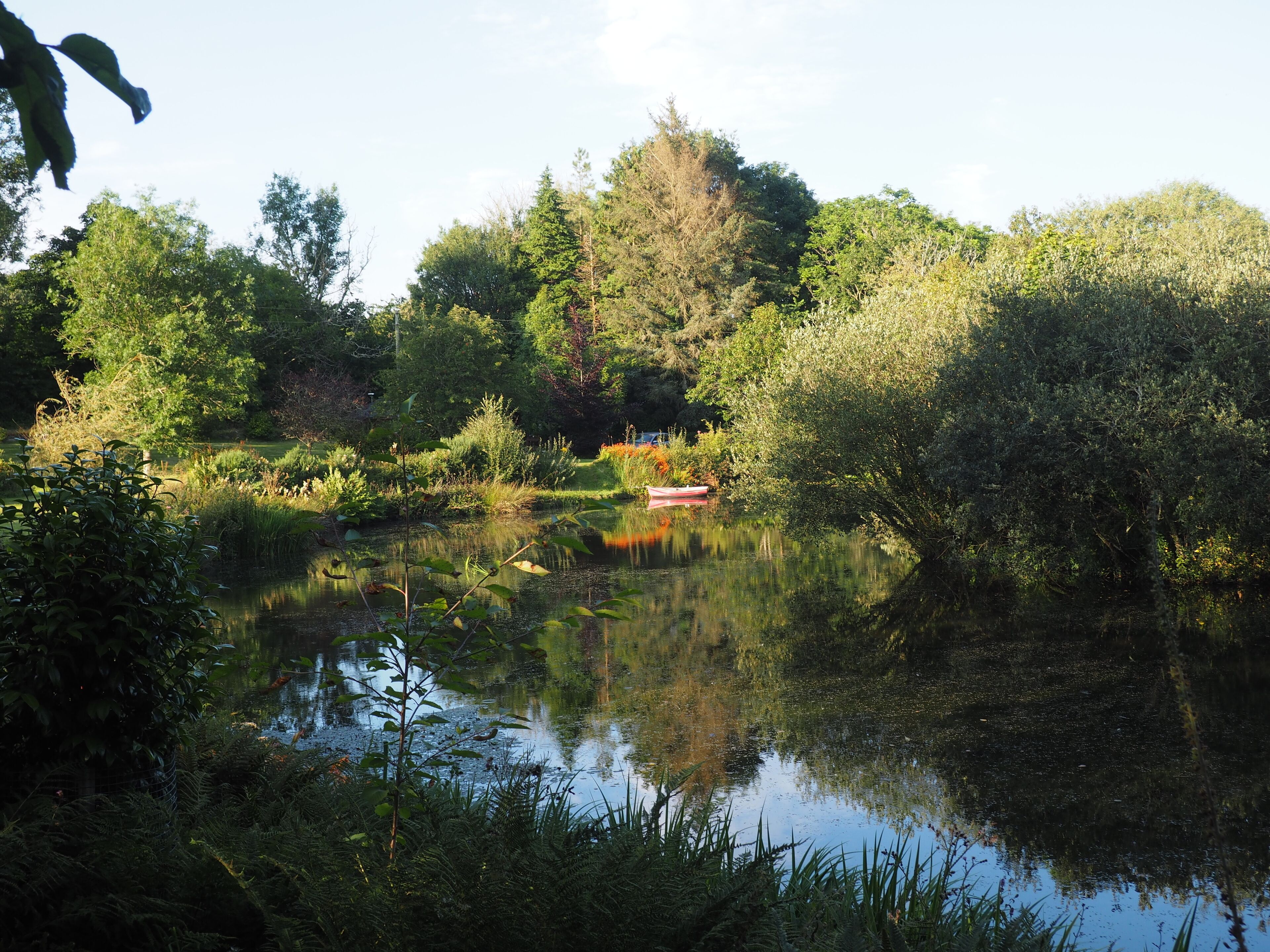Ein friedlicher Teich, umgeben von üppiger Vegetation und Bäumen.
