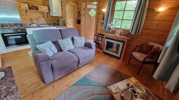 TV, fireplace, DVD player, books