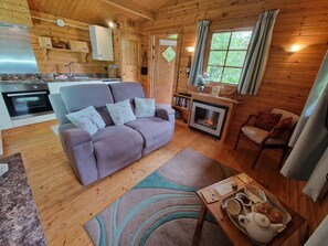 TV, fireplace, DVD player, books