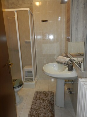 Shower, hair dryer, towels, toilet paper