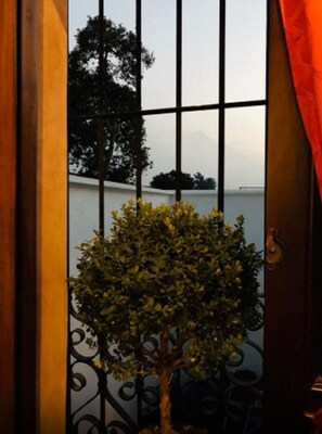 A view through a window with a metal gate, a small tree, and a white wall in the background. - Hotel La Casa de Don Moncho (Antigua Guatemala)