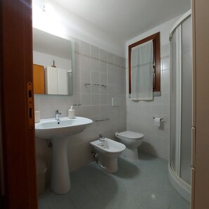 Een douche, een haardroger, een bidet, handdoeken