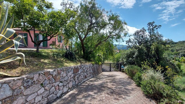 A stone pathway leading to a building with a red facade, surrounded by lush greenery and trees.