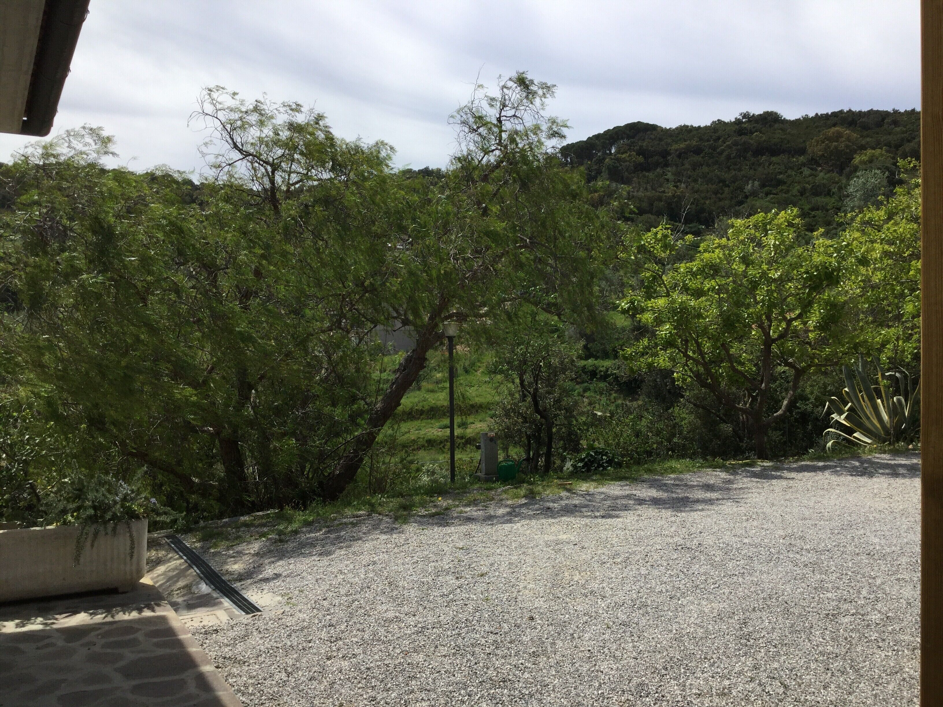 Un camí de grava que condueix a un edifici amb façana de pedra.