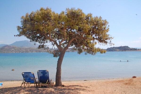 Une plage avec deux chaises de plage bleues sous un arbre, un ciel bleu dégagé et une eau calme, avec des montagnes qui se dessinent à l’horizon.