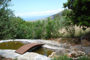 Un jardin avec un pont en bois qui enjambe un étang, entouré de différentes plantes et offrant une vue sur la mer.