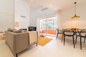 TV, fireplace, DVD player