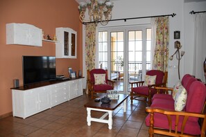 Smart TV, fireplace, DVD player, books