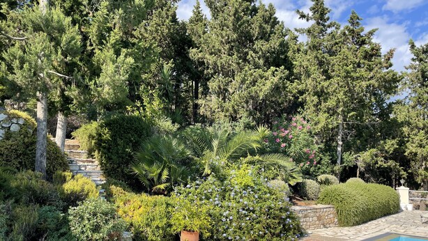 A swimming pool surrounded by lush greenery and stone steps.