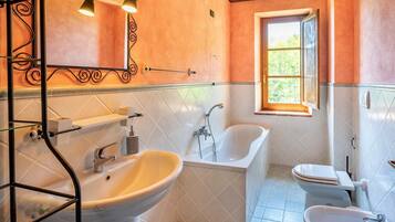 Combined shower/tub, hair dryer, bidet, towels