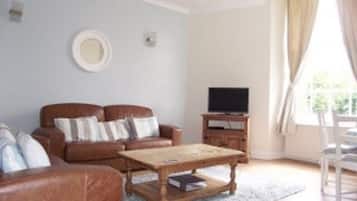 TV, DVD player, books, music library