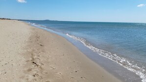 Une plage avec un ciel dégagé et une mer calme.