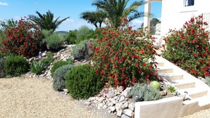 Un jardin aménagé avec des plantes à fleurs rouges, un palmier et un bâtiment blanc doté d’un toit en tuiles.