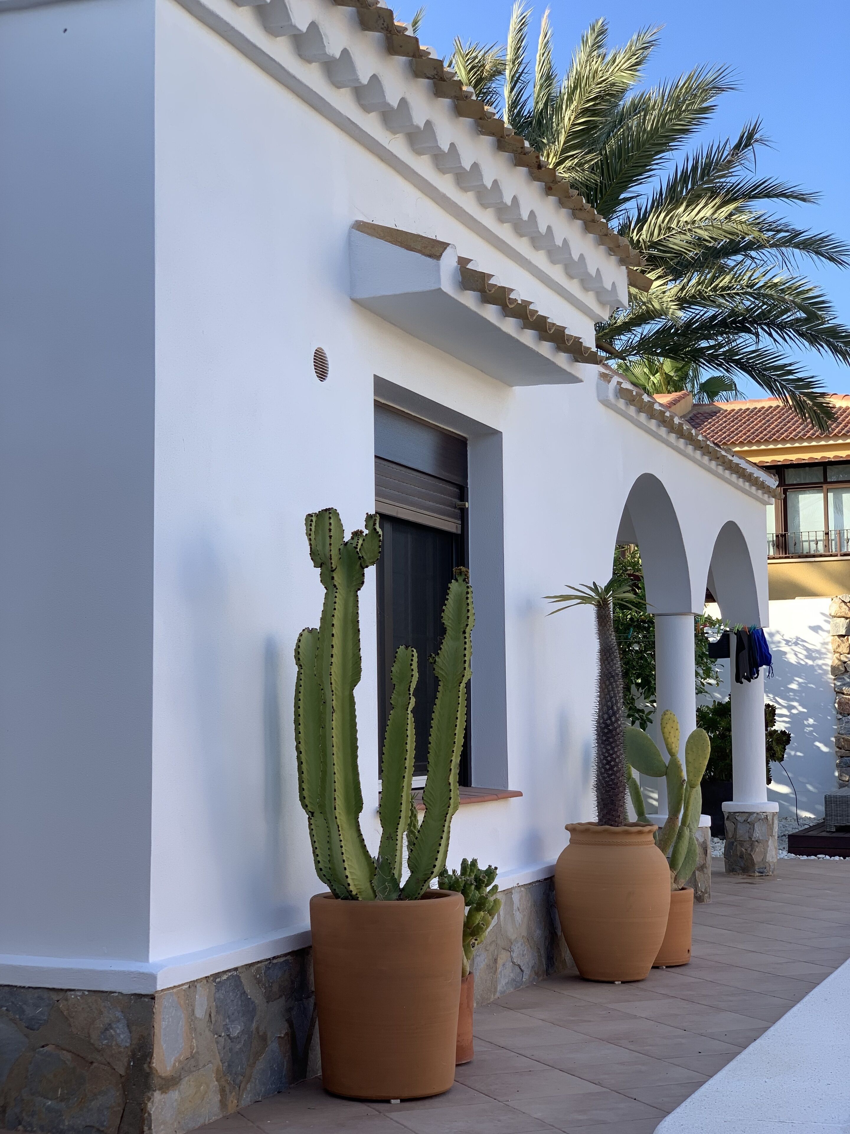 A building with a white exterior, a window with a closed shutter, and large potted cacti.