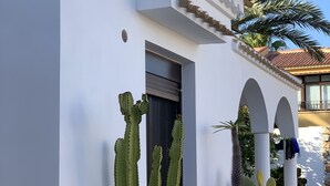 Un bâtiment à l’extérieur blanc, une fenêtre avec un volet fermé et de grands cactus en pot.