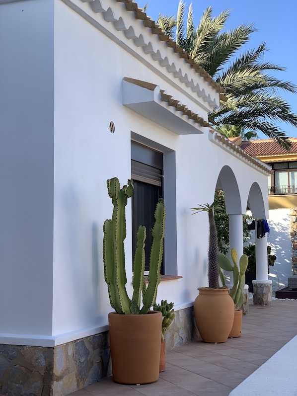 A building with a white exterior, a window with a closed shutter, and large potted cacti. - Luxury Villa with Pool and Sunny Terraces (Torrevieja)