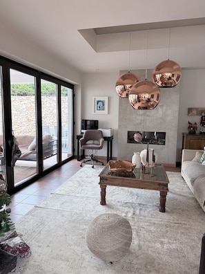 TV connectée, cheminée, lecteur de DVD, livres