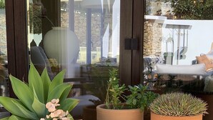 Un espace patio agrémenté de grands pots de plantes, d’un panier en osier et d’un mur de pierres en arrière-plan.