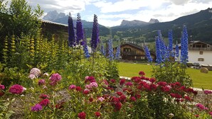 A garden with various flowers and a mountain backdrop.