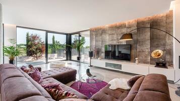 Smart TV, fireplace, books