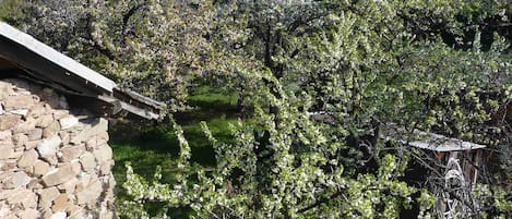 المنطقة المحيطة بالمنشأة