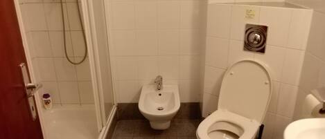 Bathtub, hair dryer, bidet