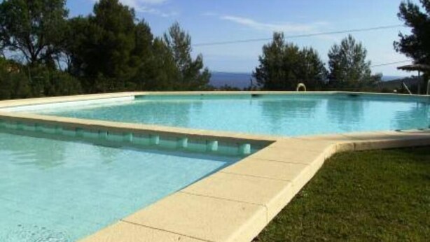 Piscina rectangular con borde de azulejos, rodeada de césped y árboles.
