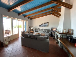 スマートテレビ、暖炉、DVD プレーヤー、書庫