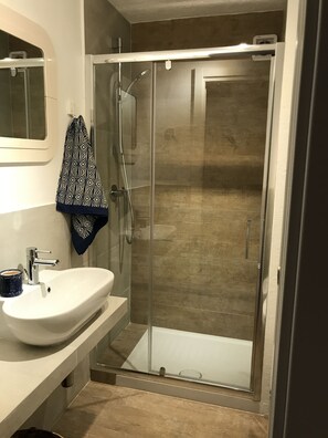 Shower, hair dryer, bidet, towels