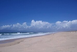 Sun loungers - Comporta-Nature resort villa w/private pool and lake view (Comporta)