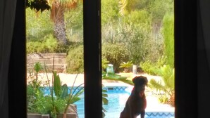 Interior - Magnificent Villa with garden and pool, overlooking the golf course (Los Belones, Cartagena, Murcia)