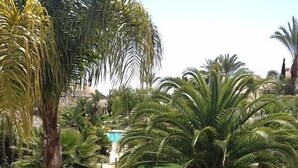 Ein gepflegter Garten mit Palmen und einem ordentlich geschnittenem Heckenstreifen.