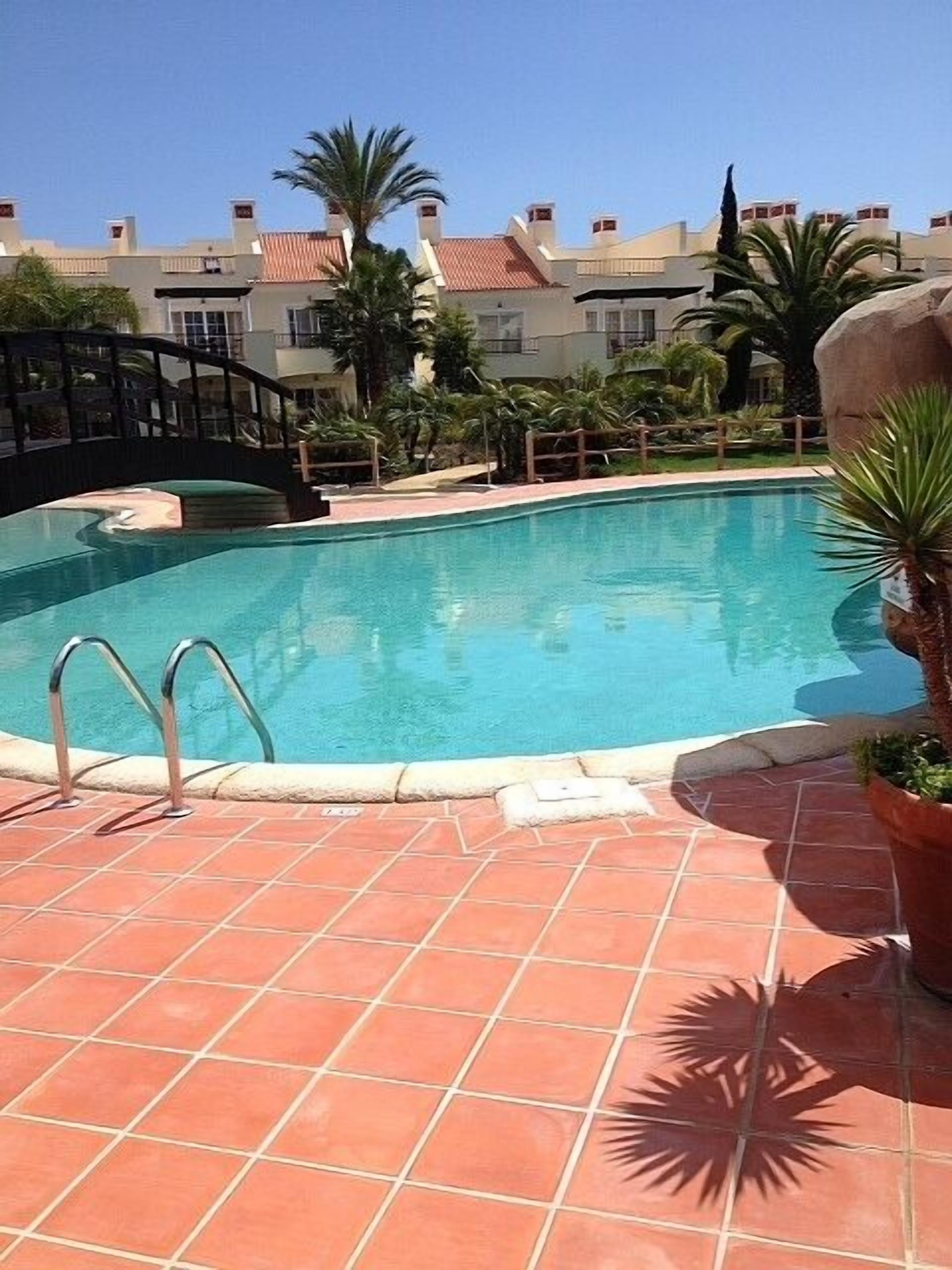 A swimming pool with a tiled deck, surrounded by palm trees and a stone wall.