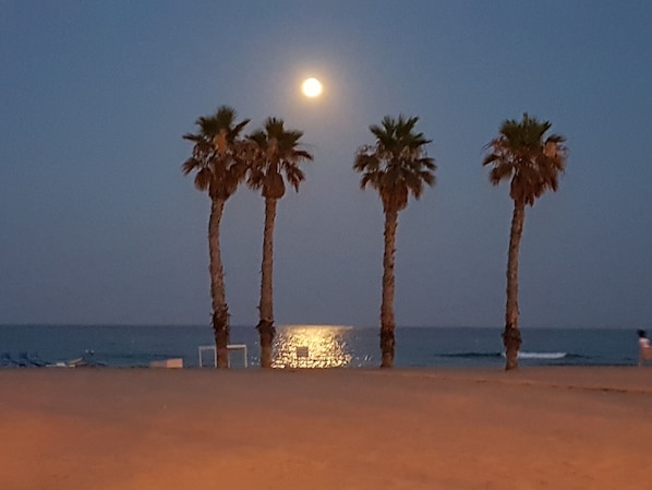 On the beach, sun loungers, beach towels