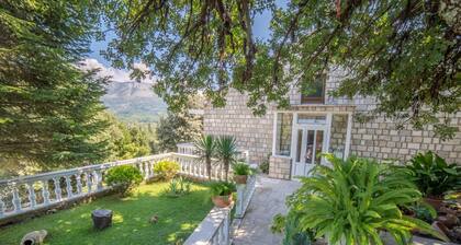 Perfect place for family vacation