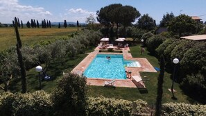 Une piscine rectangulaire, bordée d’une terrasse carrelée, est entourée d’une zone verdoyante avec des arbres et des arbustes. On aperçoit des chaises longues et des parasols à l’arrière-plan.