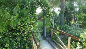 Ein Weg, der durch einen Garten mit Holzzaun und viel Grün schlängelt.