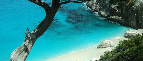 Playa en los alrededores