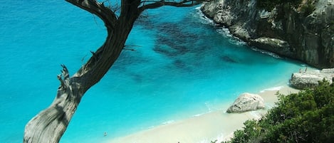 Una spiaggia nelle vicinanze