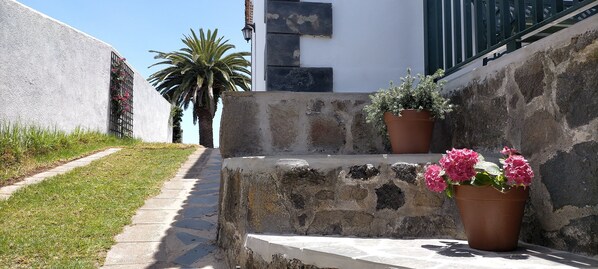 Uma escadaria de pedra leva a um edifício com uma parede branca e uma palmeira ao fundo.