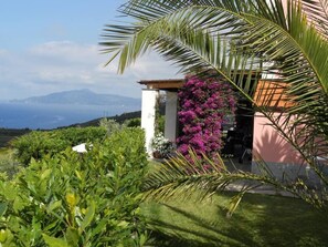 Property grounds - House / Villa with garden - Lavagna (Lavagna)