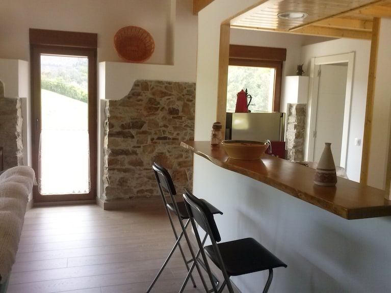 Beautiful Views Of The Green Nature From The Inside Asturiana - Asturias