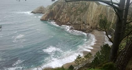 Beautiful views of the green nature from the inside Asturiana