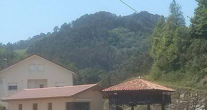 Beautiful views of the green nature from the inside Asturiana 