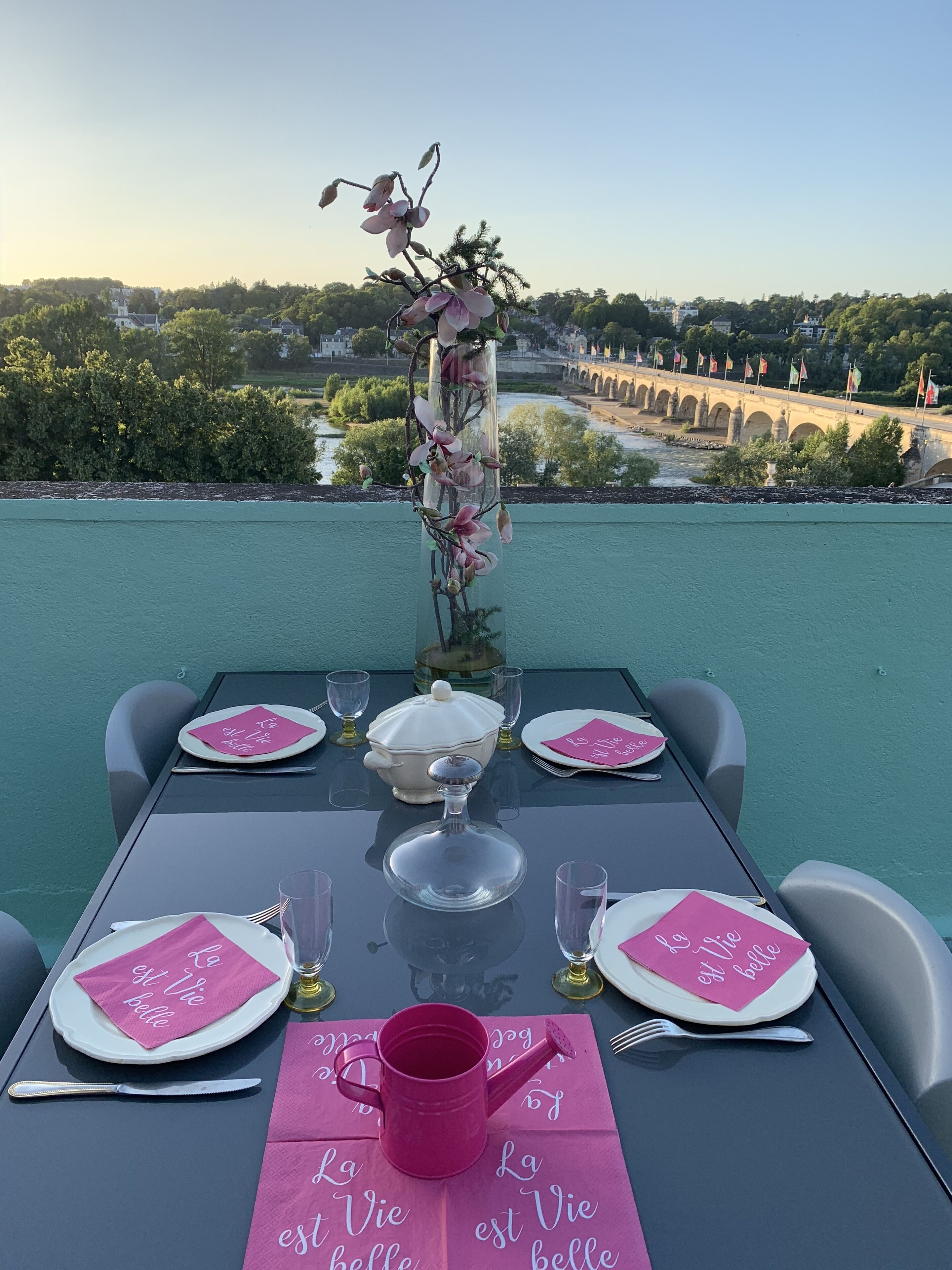 QUIET Three rooms with terrace directly overlooking the Loire in the heart of Tours (with free parking, wifi and dryer)