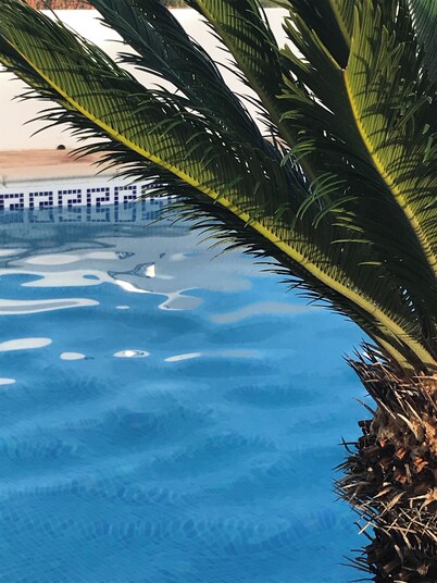 Beautiful Portuguese farmhouse. All modern facilities, secluded, A/C, Pool