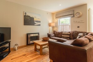 Smart TV, chimenea, reproductor de DVD y libros 