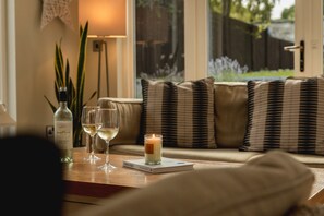 Smart TV, fireplace, DVD player, books