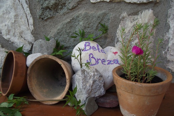 A warm welcome awaits you